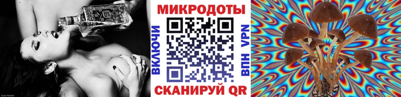 как найти наркотики  маркетплейс официальный сайт  Галлюциногенные грибы ЛСД  Цимлянск 